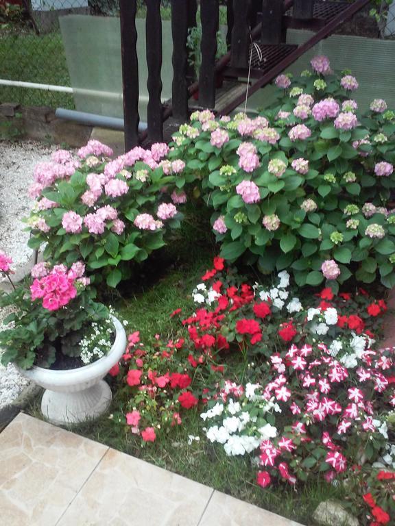 Apartment A&D Pančevo المظهر الخارجي الصورة