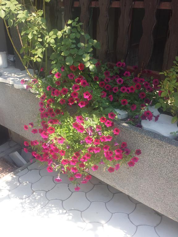 Apartment A&D Pančevo المظهر الخارجي الصورة